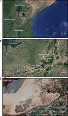 Phytolith Palaeoenvironments at Mumba Rock Shelter